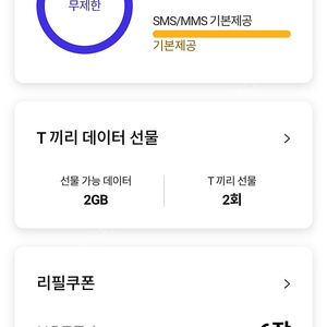 SK데이터 2기가