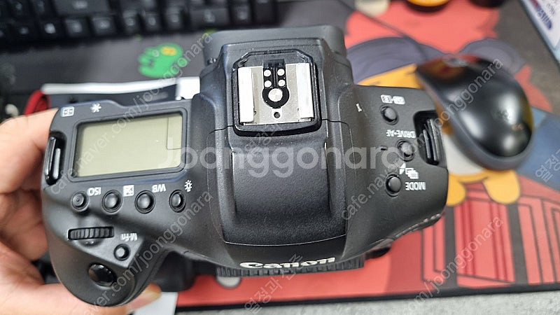 캐논 1DX Mark3 왕덱삼--3