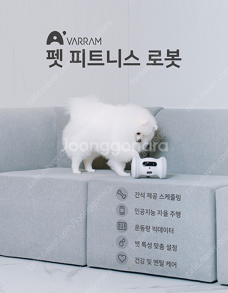 바램펫 피트니스 반려동물 자동장난감/노즈워크 로봇--1