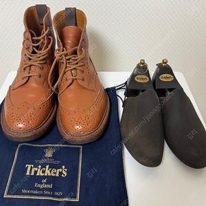 Tricker's 트리커즈 워커 250-55 사이즈