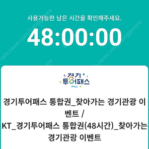 경기투어패스 48시간 성인 1매