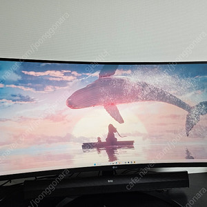 Lg 34인치 울트라와이드 모니터 34wr50qc