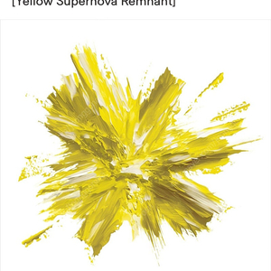 [구매] 터치드 Yellow Supernova Remnant LP 싸인반