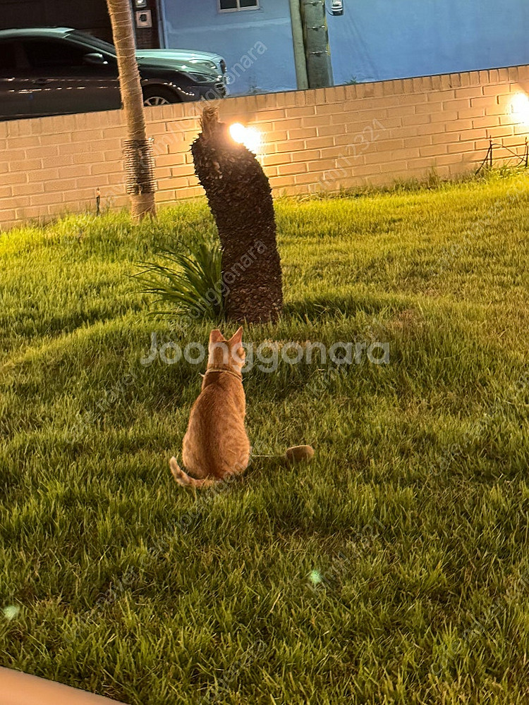 신세계영수증--0