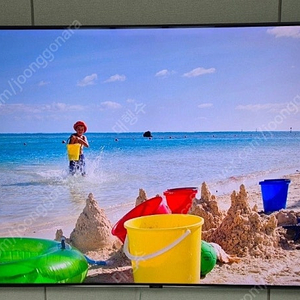 삼성 TV(Qled 65인치