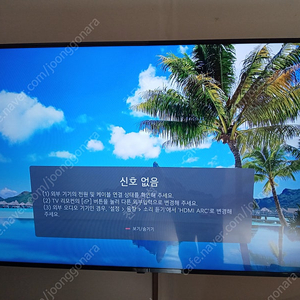 LG TV팝니다(제조24년3월)