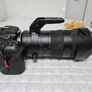 캐논 RF 24-105 F2.8, RF 28-70 F2 왕계륵, RF 70-200 F4 알형아 판매합니다.