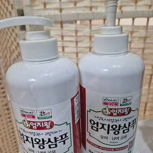 엄지왕 어성초 한방 탈모샴푸