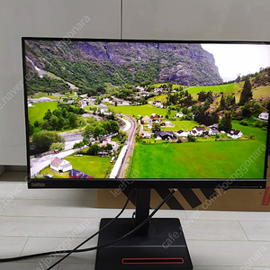 레노버 24인치 qhd p24h-20