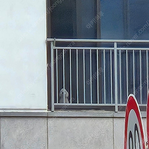 대전 오월드 자유이용권 성인2 아이2 구합니다.
