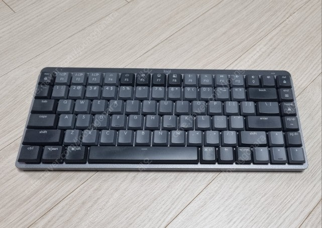 MX Mechanical mini 적축--0