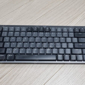 MX Mechanical mini 적축