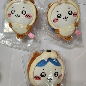 치이카와 수족관 수달 치이, 하치
