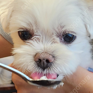 최강야구 티켓 파실분 2연석입니다.