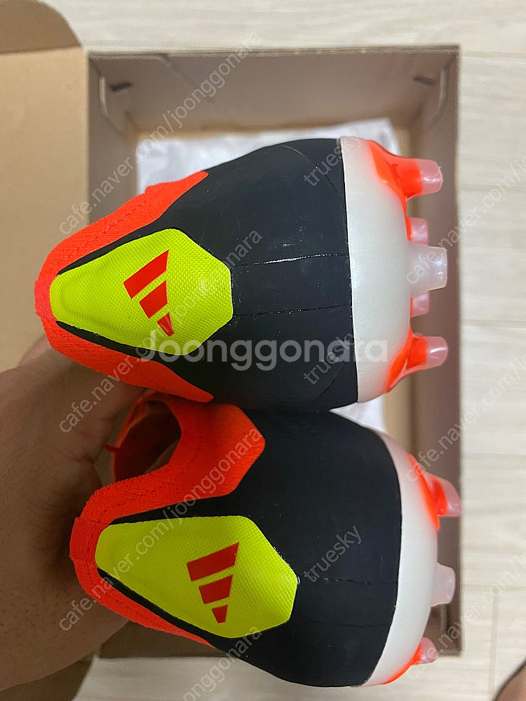 프레데터 엘리트 2g/3g ag 260mm 판매--3