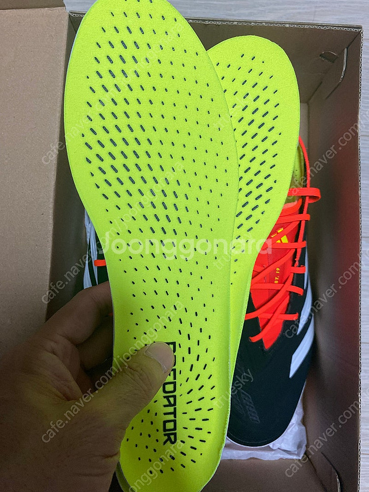 프레데터 엘리트 2g/3g ag 260mm 판매--4