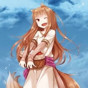 늑대와 향신료 굿즈 및 각종 라노벨 판매합니다.--6