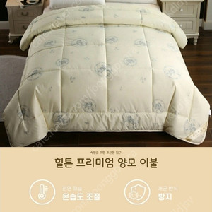 힐튼 프리미엄 양모이불
