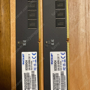 Patriot Signature DDR5 5600 64GB(2x32GB)