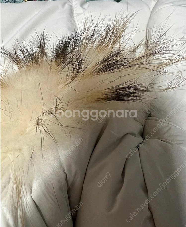네파 패딩 전지현패딩 여성패딩 잠바--4