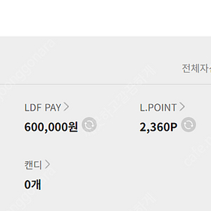 LDF 페이 57만원 판매