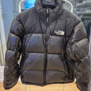 노스페이스 M'S 1996 ECO NUPTSE JACKET L(100사이즈)