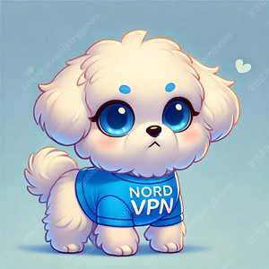 Nord VPN 2년 3개월 함께 할 파티원 모집합니다.​