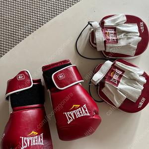 Everlast MX 12oz 글러브 펀치미트