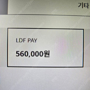 LDF PAY 56만원 53만원에 팝니다.