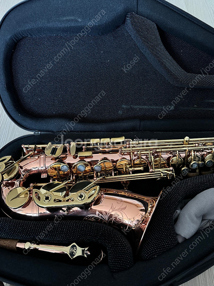 Buffet Crampon Senzo 부페 센조 전문가...--0