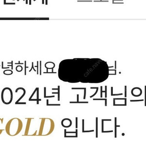 신세계 라운지_골드_ 2024년기준 2500만