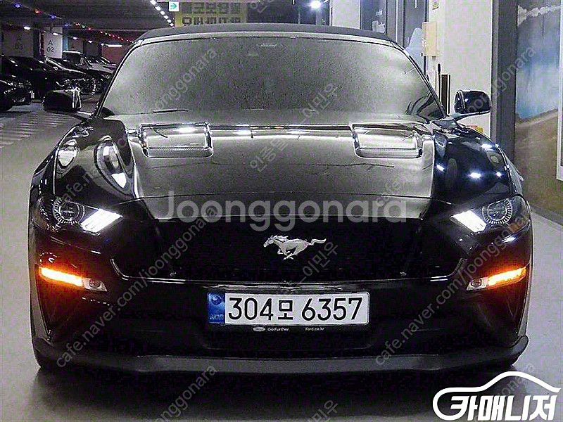 [포드]머스탱 GT 컨버터블 (0톤) | 2022 | ...--1