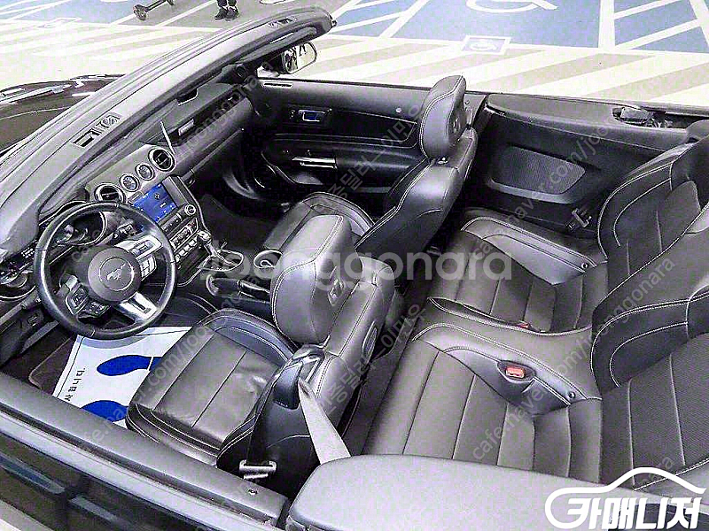 [포드]머스탱 GT 컨버터블 (0톤) | 2022 | ...--9