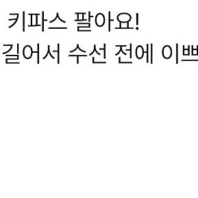 베이지보울 키파스 s