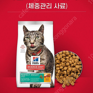 힐스 고양이사료 어덜트 퍼펙트 웨이트 6.8 kg