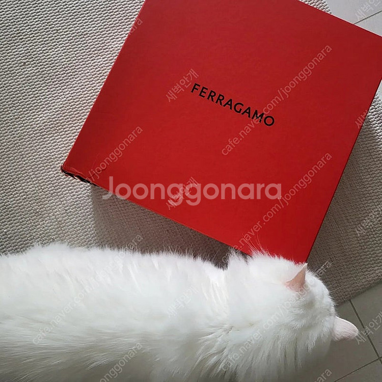 페레가모 첼시부츠 M7 사이즈--0