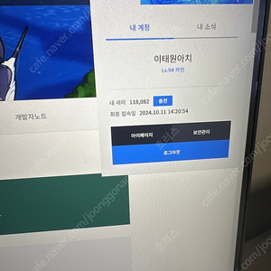 던파 11만8천세라 팔아요