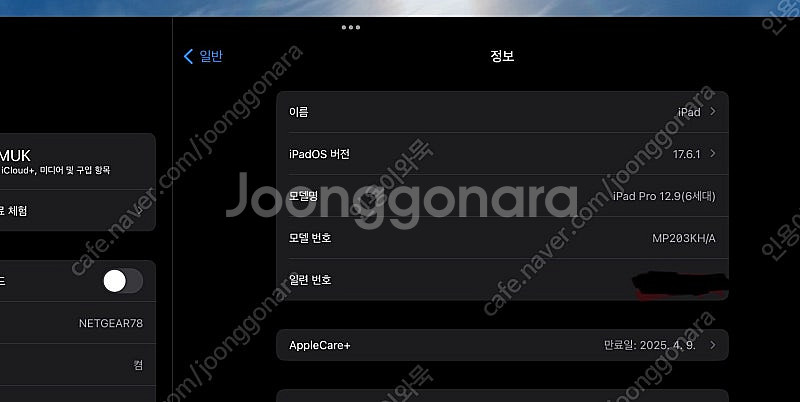 아이패드 프로 12.9 6세대 256 셀룰러--5