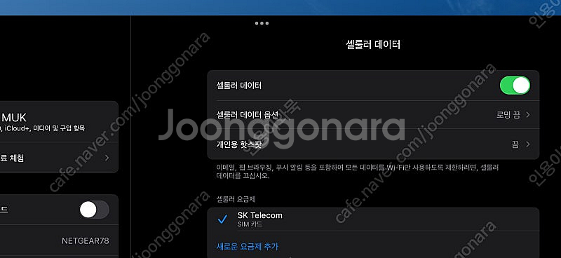 아이패드 프로 12.9 6세대 256 셀룰러--7