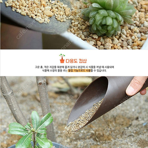 다용도컵삽, 원예용 컵 (화분분갈이용 삽대체상품) 100개