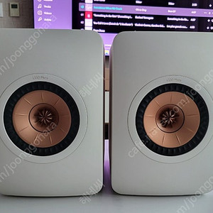 KEF LS50 META 가격인하