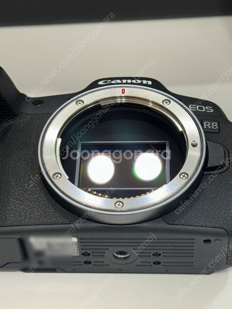 [가격인하] EOS R8 // RF 24-70, 247...--7