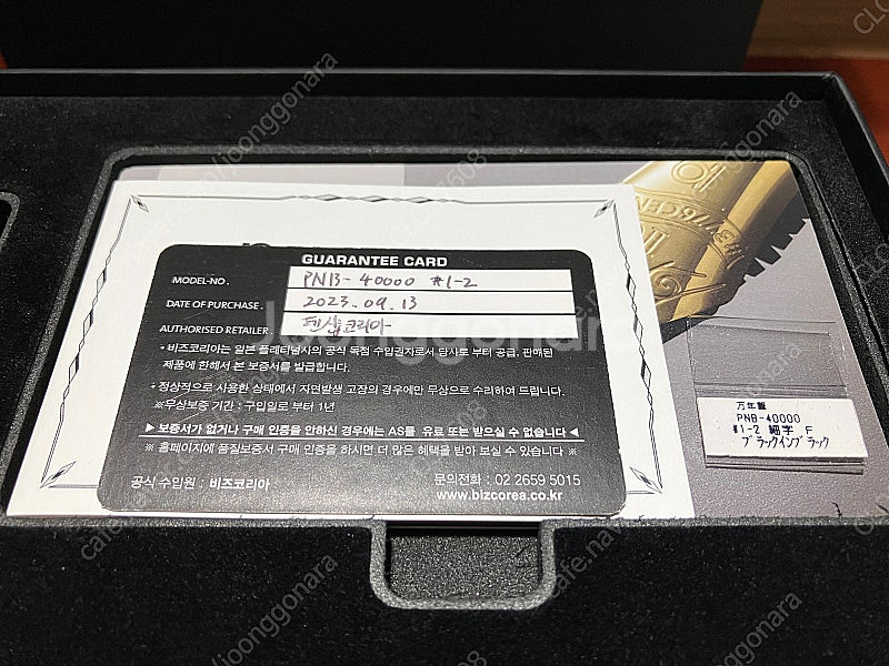 플래티넘 센츄리 10주년 한정판 만년필 금장 F닙--1