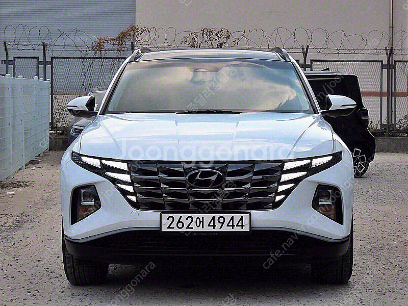 현대 투싼 (NX4) 디젤 20 2WD 모던 중고차 판...--0