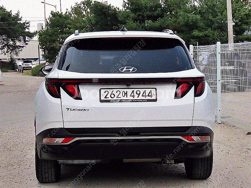 현대 투싼 (NX4) 디젤 20 2WD 모던 중고차 판...--3