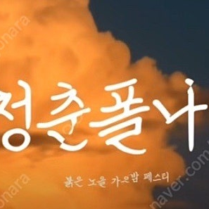 청춘폴나잇 토요일권 삽니다(2장)