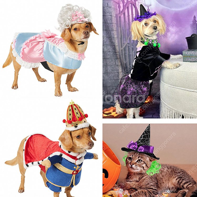 강아지 고양이 할로윈 코스튬 브리저튼 왕 여왕 공주 마...--0