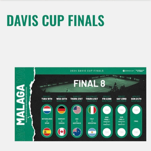 삽니다) 데이비스컵(davis cup) 11월 19일 티켓