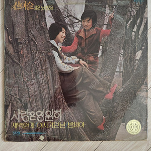 산이슬,이난영,오정선,송골매,이용복,서유석 LP판