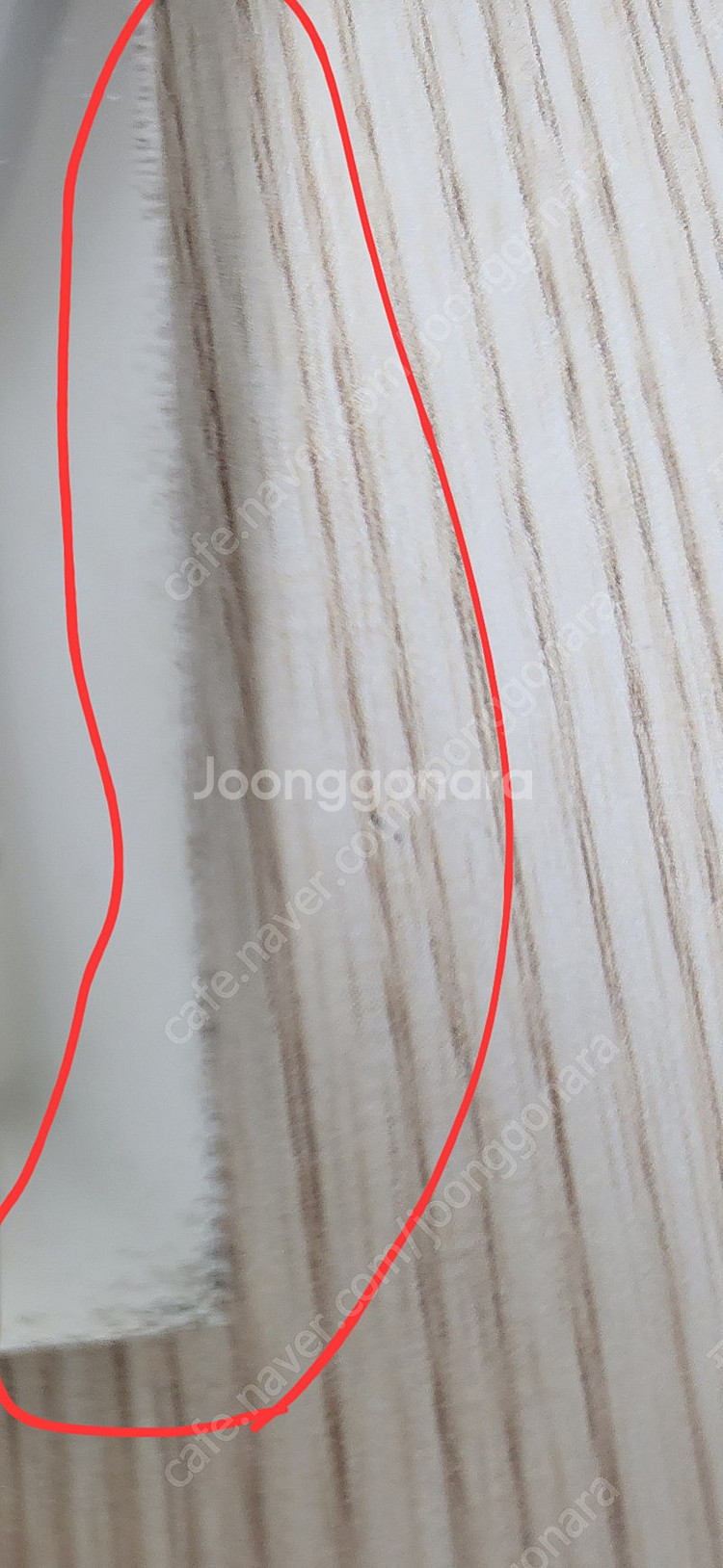 정품) 팬디 거울--2